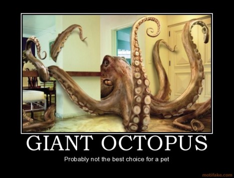 giant-octopus-octopus-pets-holly9000-demotivational-poster-1260237939
